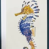 Mooch..... Daniel Mackie Seahorse Greetings Card
