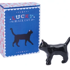 Mooch..... Lucky Black Cat