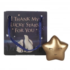 Mooch..... Gifts For Teachers "I Thank My Lucky Stars For You" Star Token In A Gift Bag