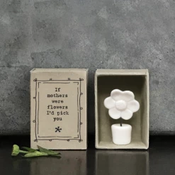 Mooch..... East Of India Matchbox Flower - "If Mothers Were Flowers....." New Arrivals