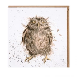 Mooch..... New Arrivals Greetings Card Wrendale Designs - What A Hoot