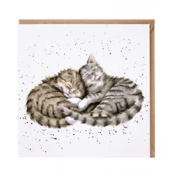 Mooch..... Greetings Card Wrendale Designs - Sweet Dreams