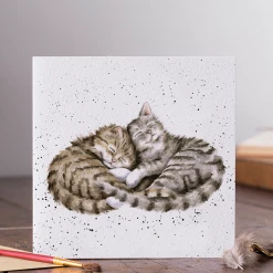 Mooch..... Greetings Card Wrendale Designs - Sweet Dreams