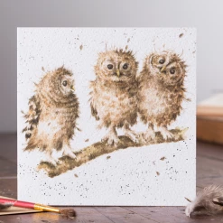 Mooch..... Greetings Card Wrendale Designs - You First! Greetings Cards