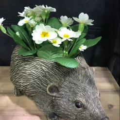 Mooch..... Hedgehog Planter